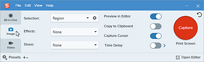Snagit To Screenshot On Windows