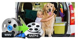 Converter WMV para MP4