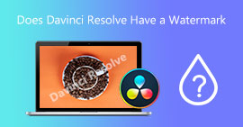 Reproduzir DVDs no Wii