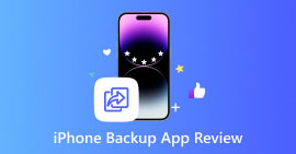 Análise do aplicativo de backup para iPhone