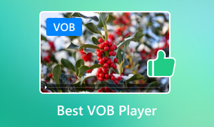 Tocador de Vob