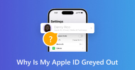 Por que meu ID Apple está acinzentado?